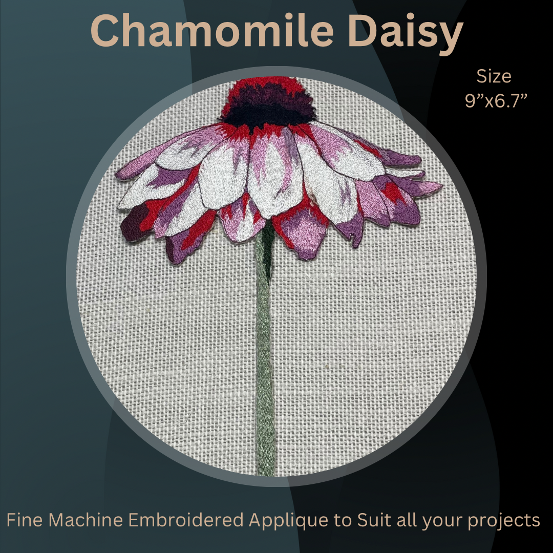 Chamomile Daisy