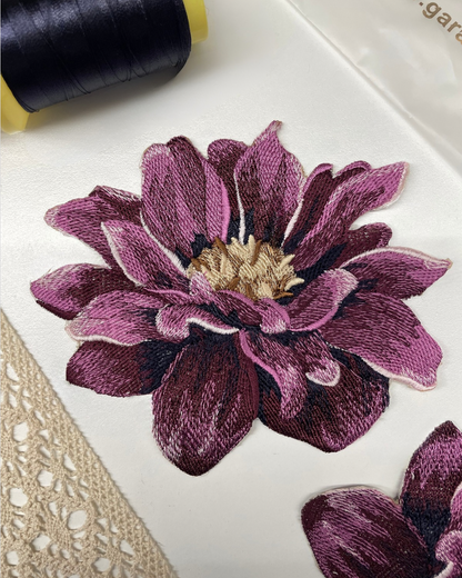 Dahlia Flower