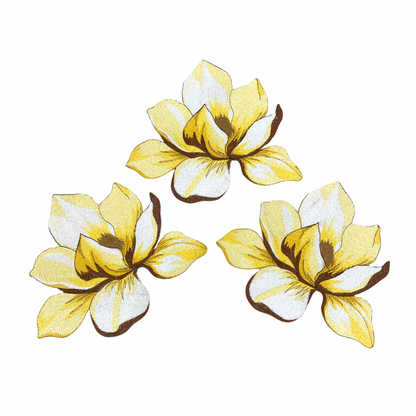 Magnolia Flower