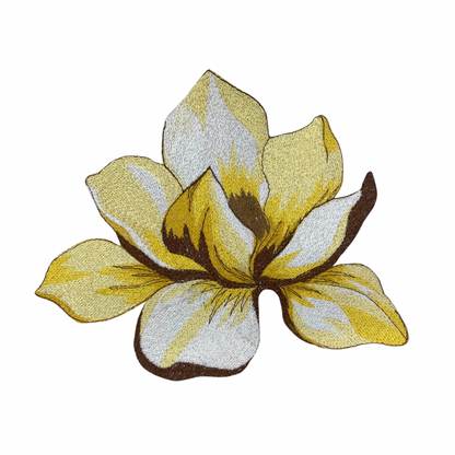 Magnolia Flower